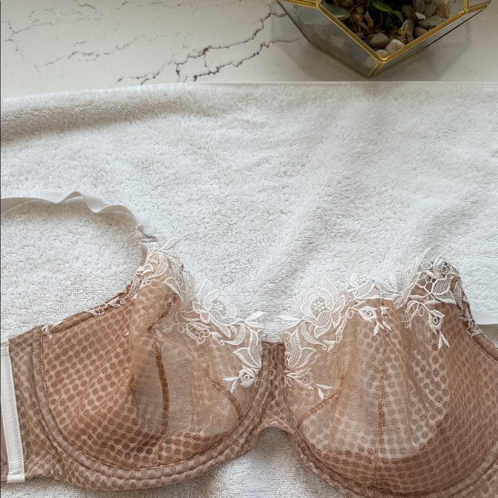 Victoria Beckham Lace Bra in Brown and White
